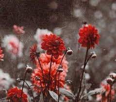 We did not find results for: Go Wild For A While Sweet Like Candy