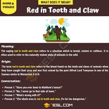 Pin On English Lessons