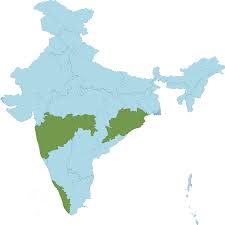 Image result for Coelachne