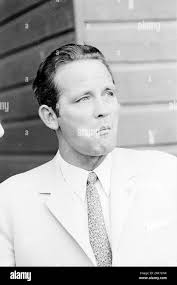 Molenaar hi-res stock photography and images