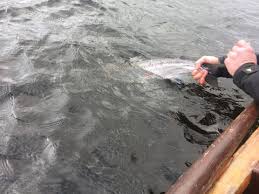 Mary 5wan and sean todd (senior editors); Irish Angling Update 21 March 2019 Fishing In Ireland Catch The Unexpected