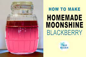 Add the corn (place in a nylon strainer bag or in a steel mesh basket). Homemade Moonshine Recipe Without A Still Trop Rockin