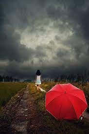 After Rain Umbrella Photography Dark Photography Umbrella Art