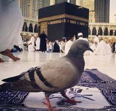 Desertrose The Kaaba Or Ka Aba Is A Cuboid Building At The Center Of Islam S Most Sacred Mosque Al Masjid Al Haram In Mecca Saudi Ara Mekke Camiler Islam