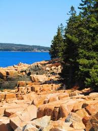 schoodic shorline picture of schoodic peninsula bar