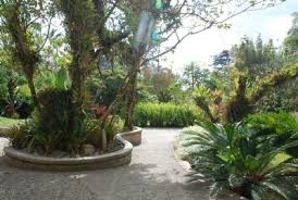 Maybe you would like to learn more about one of these? Flower Gardens In Costa Rica Go Visit Costa Rica