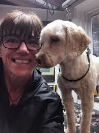 I love senior dogs,...