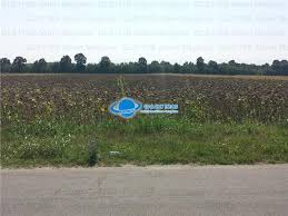 Casa este constructie veche, din anul 1960, necesita mici renovari, camerele sunt in stil vagon, dar se pot face decomandate, are. Vanzare Teren Intravilan Herasti Giurgiu 2 Ha Glx119b0829