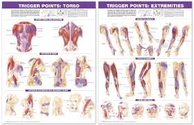 Trigger Point Chart Set Torso Extremities 2nd Edition
