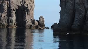 The restaurant serves both mediterranean and eolian cuisine, together with sushi. Panarea Scogli Viciniori Lisca Bianca E Nera Basiluzzo 2015 75 Italian Botanical Trips