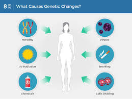 And where usually lung cancer starts is dependent on the type of this cancer. What Is Cancer National Cancer Institute