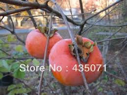 I'm planning on putting each tree in a 2' x 2' raised. Cheap Heirloom Fruit Trees Find Heirloom Fruit Trees Deals On Line At Alibaba Com