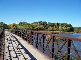 Busse Woods Forest Preserve Forest Preserve Walking In Nature Hiking Near Chicago