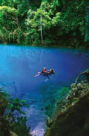 F9 industry is vanuatu's very own kava wine producing industry. Botg De Hohepunkte Vanuatu