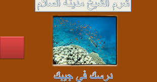 شرم الشيخ أو مدينة السلام، واحدة من أجمل أربع مدن في العالم حسب تصنيف الـ bbc لعام 2005، تم بناؤها عام 1968 وتطورت بشكل سريع حتى أصبحت من أشهر مدن العالم، فهي أشهر مدينة سياحية في مصر، وتسمى أيضا جوهرة سيناء. Ø¯Ø±Ø³ Ø´Ø±Ù… Ø§Ù„Ø´ÙŠØ® Ù…Ø¯ÙŠÙ†Ø© Ø§Ù„Ø³Ù„Ø§Ù… Ù„Ù„ØµÙ Ø§Ù„Ø±Ø§Ø¨Ø¹ Ø§Ù„Ø¥Ø¨ØªØ¯Ø§Ø¦ÙŠ