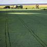 Brazil's National Monetary Council Expands Debt Relief for Rural Producers Affected by Climate Events