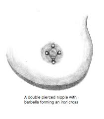Multiple Nipple Piercings | Elayne Angel's Piercing Bib