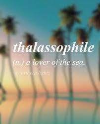 This site contains information about ocean quotes tumblr. 60 Short Funny Beach Quotes 2020 We 7