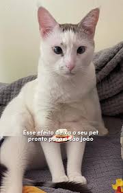 Aiii mãezinhaaaaaaa 🩵🩵🩵 . . . . . . . #aifilter #Multiverso #capcut...