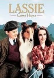 Remake of 1943 movie based on eric knight's book, lassie come home. Lassie Come Home Youtube