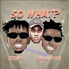Tecno,shallipop by Denny Baby Eze Ewgu 1: Listen