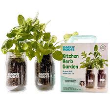 Growing lemon balm indoors is super easy if you can provide it exposure to 4. 12 Best Indoor Herb Garden Kits To Grow At Home Urbanorganicyield Com