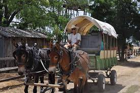 Hamilton Museum Founders Day celebration to honor Lincoln and Louise  Hamilton