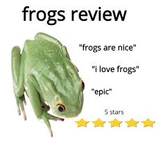 I Love Frogs Frogs Frog Frog Pictures Frog Meme