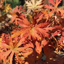 Pin Auf News Von Instagram