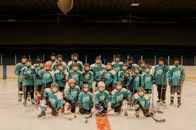 Just want to double check that we have a game in Falher for older kids at  2:30