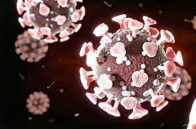 Faktencheck Zur Lungenkrankheit Wie Gefahrlich Ist Das Coronavirus Wirklich Wissen Stuttgarter Zeitung