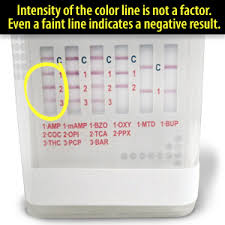 At home drug test 6 panel. Reading A Drug Test