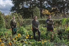 Jeffery's greenhouses plant ii limited is a wholesale distributor of spring bedding and potted plants to a major retail box store chain servicing and supplying multiple garden centers throughout ontario. Andrew Bowler Assistant Manager Polhill At Coton Garden Centre Linkedin