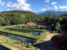 Book complex pastravaria albota, arpasu de sus on tripadvisor: Pastravaria Albota Arpasu De Sus