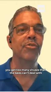 You've probably heard about the...