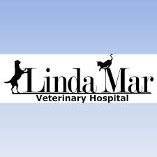 We are happy to announce that beginning june 3, 2021, we will be opening our doors to our clients. Cape Fear Animal Hospital Home Facebook