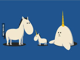 And Thats How Unicorns Are Made Kawaii Unicorn Unicorn Pig Unicorn