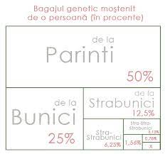 Cu o formă de rudenie de sânge și o linie colaterală, frații și surorile au un grad de rudenie secundar față de tine. Frati Vitregi Grad De Rudenie Lumea Fericirii
