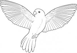 Free printable bunting bird coloring pages and download free bunting bird coloring pages along with coloring pages for other activities and coloring sheets. Get This Bird Coloring Pages Kids Printable 06741