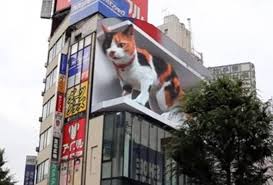 Elak kucing naik atas kereta. Kucing Bersaiz 154 5 Meter Persegi Peneman Orang Awam Lalu Lalang Di Shinjuku Astro Awani