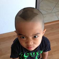 Where to buy live anchovies bait in the Bay Area?