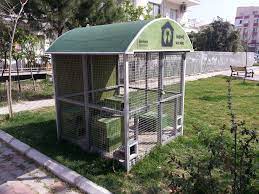 cat house kedi evi panosundaki pin