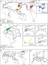 Image result for Corydalis mildbraedii