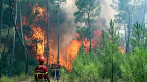 Às 19:35 o incêndio foi dado como dominado, afirmou a fonte do cdos, salientando que isso significa que já não ultrapassa aquele perímetro, mas ainda não. Calor Coloca Cinco Concelhos Em Risco Maximo De Incendio Tvi24