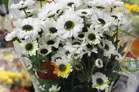 With the city being full of life and parties, you will want to make sure you don't forget to celebrate an occasion in miami. Flowers Berkeley Florist Supply