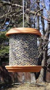 Bird Feeder Diy Craft Homemade Bird Feeders Bird Feeders Diy Bird Feeder