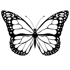 25 If You Are Looking For Butterfly Coloring Page Download You Ve Come To The Rig Tatuaje De Mariposa Blanca Tatuaje De Mariposa Monarca Dibujos De Mariposas