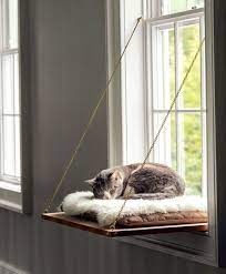 Beachten Sie Den Fensterrahmen Beachten Sie Wie Es Aus Der Wand Herausragt Aus B Cat Window Perch Diy Cat Bed Cat Window