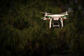 Dji Phantom 3 Wallpaper Data Src Vertical Dji Wallpaper Drone Models For Wildlife Conservation 2878x1919 Wallpaper Teahub Io Phillip island, penguin parade and moonlit sanctuary conservation park from melbourne. dji phantom 3 wallpaper data src