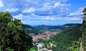 See more of european union in switzerland and liechtenstein on facebook. Brexit News Liechtenstein Eu Customs Union Efta Eea May Boris Johnson Politics News Express Co Uk